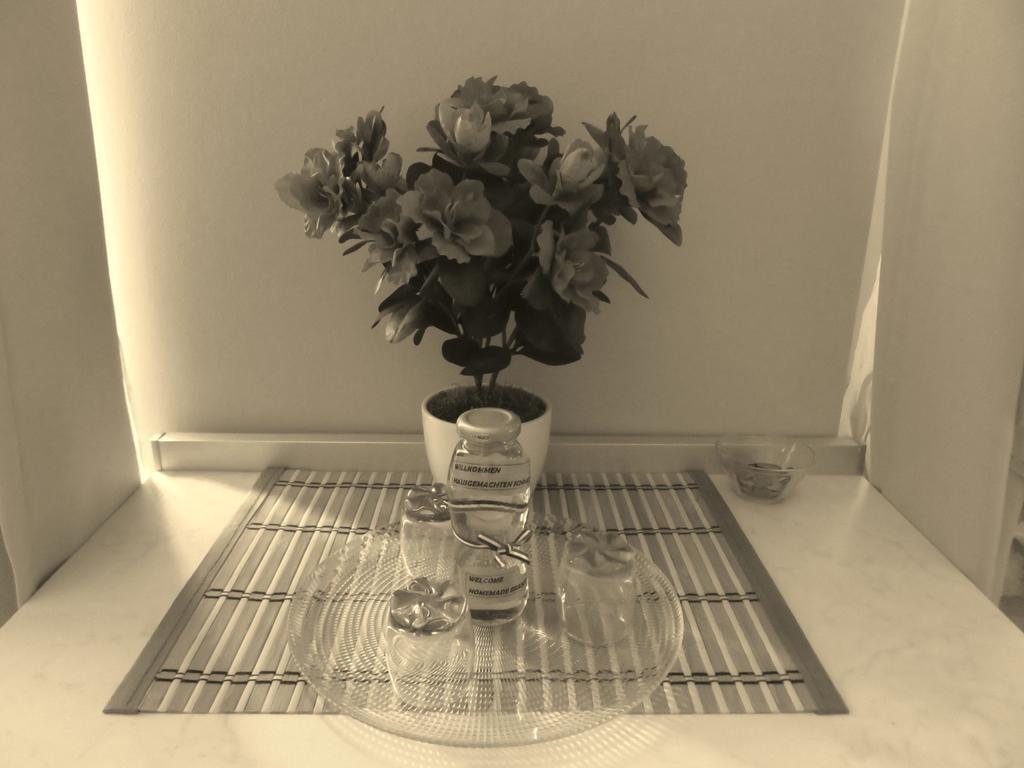 Apartment Barbara - Bojana Šibenik Rom bilde